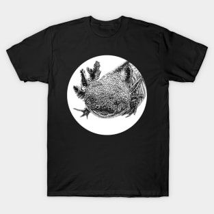 Axolotl illustration T-Shirt